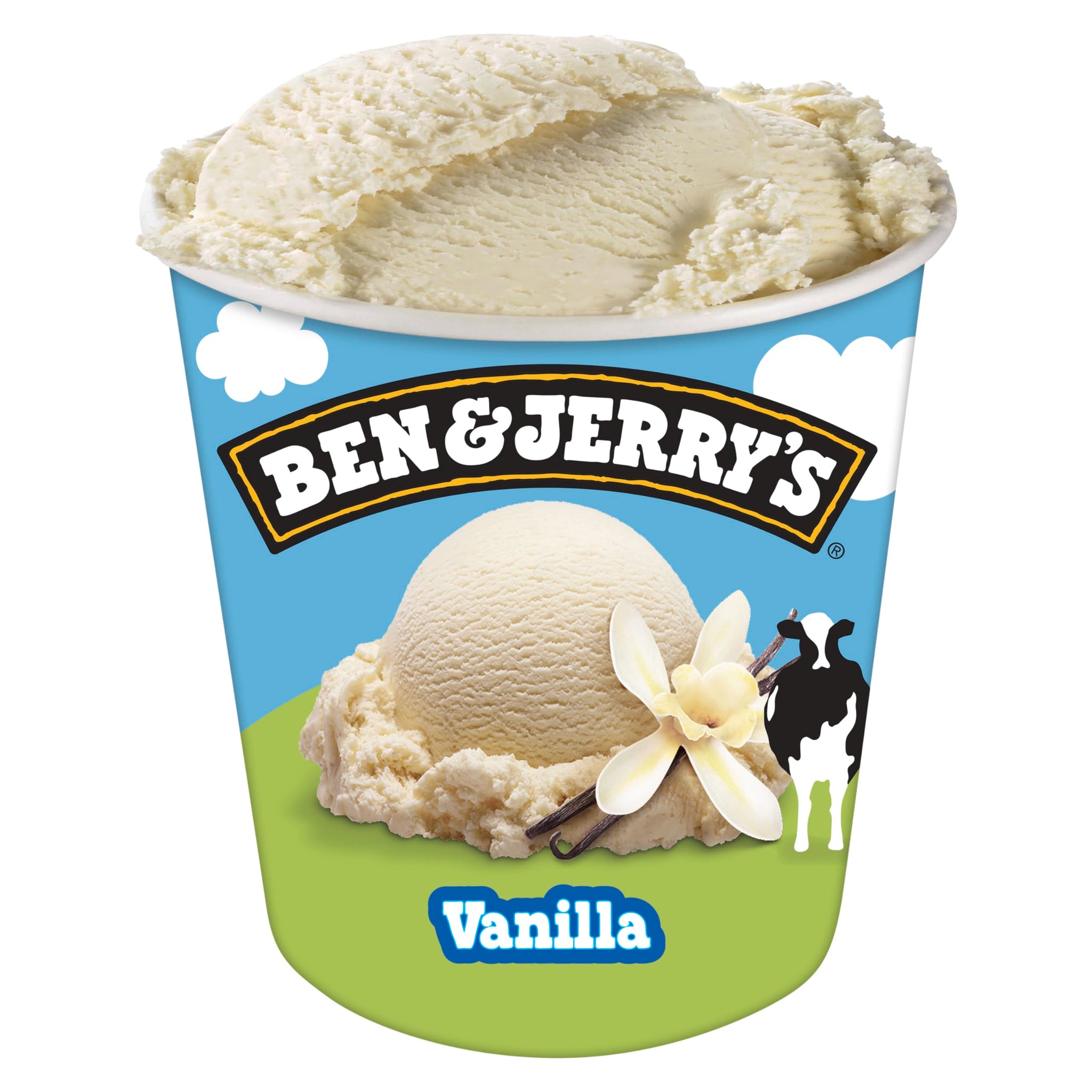 Ben & Jerry's Vanilla Ice Cream Pint 16 oz