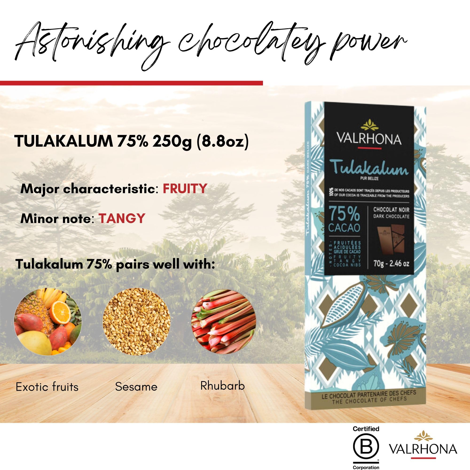 Valrhona Premium Dark Chocolate TULAKALUM 75% Cacao Tasting Bars-Single Origin Belize Gourmet French Chocolate Perfect for Baking & Frostings