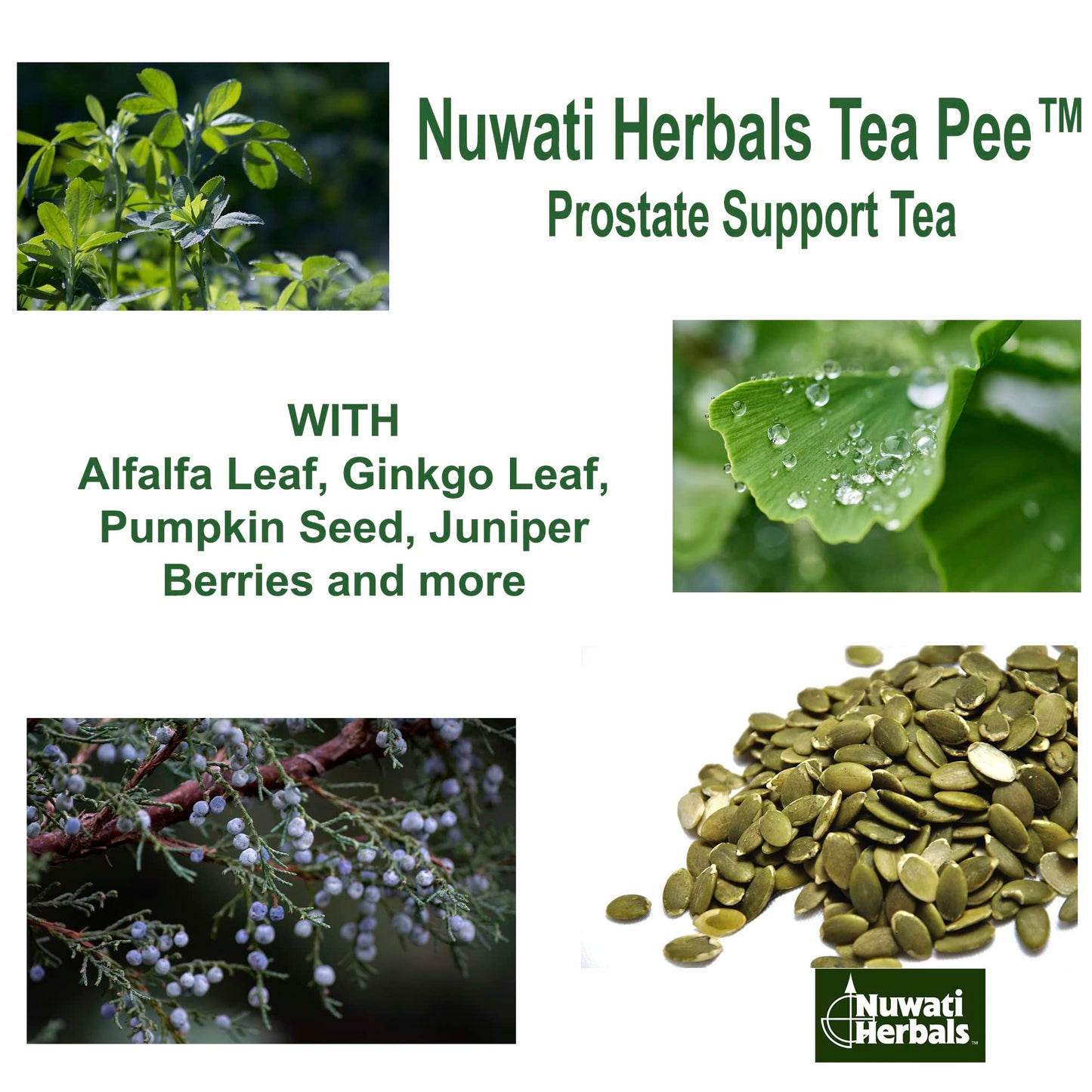 Tea Pee - Prostate Support Tea - Herbal Remedies from Nuwati Herbals - For Healthy Bladder Functions, Loose Blend, 4 Ounces