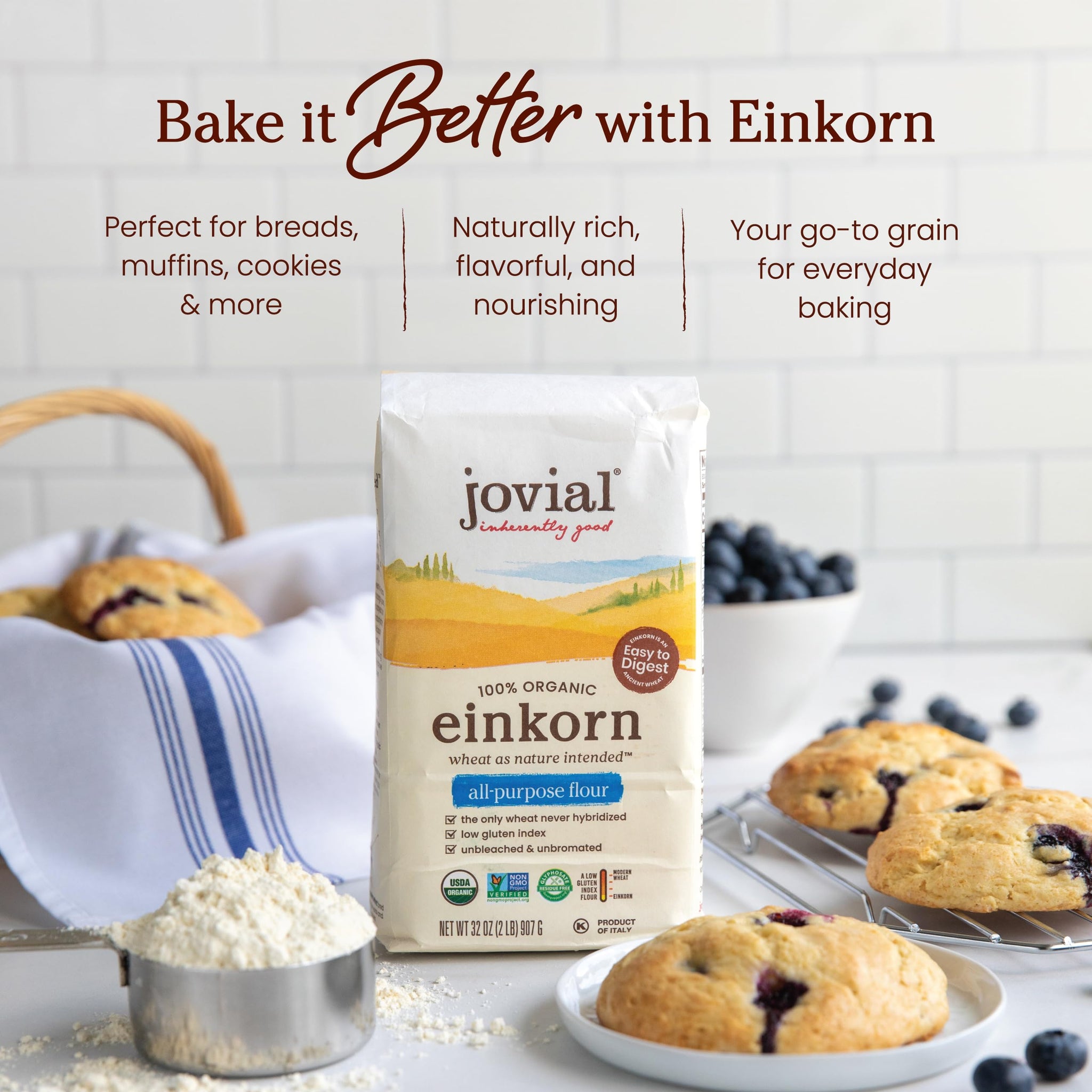 Jovial Organic Einkorn Unbleached All Purpose Flour - Bread Baking Flour for Sourdough, High Protein, Non-GMO, For Organic Pizza & Pasta, European