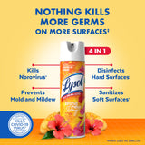 Lysol Disinfectant Spray, Household Cleaning Supplies, Disinfecting Multi-Purpose Room Spray, Antibacterial Sanitizer, Deodorizer, Kills Hantavirus