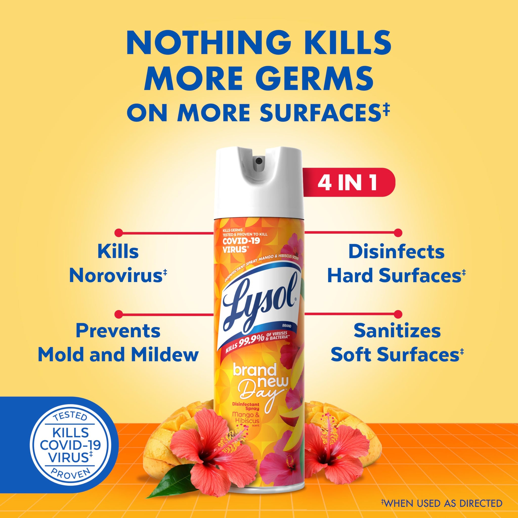 Lysol Disinfectant Spray, Household Cleaning Supplies, Disinfecting Multi-Purpose Room Spray, Antibacterial Sanitizer, Deodorizer, Kills Hantavirus