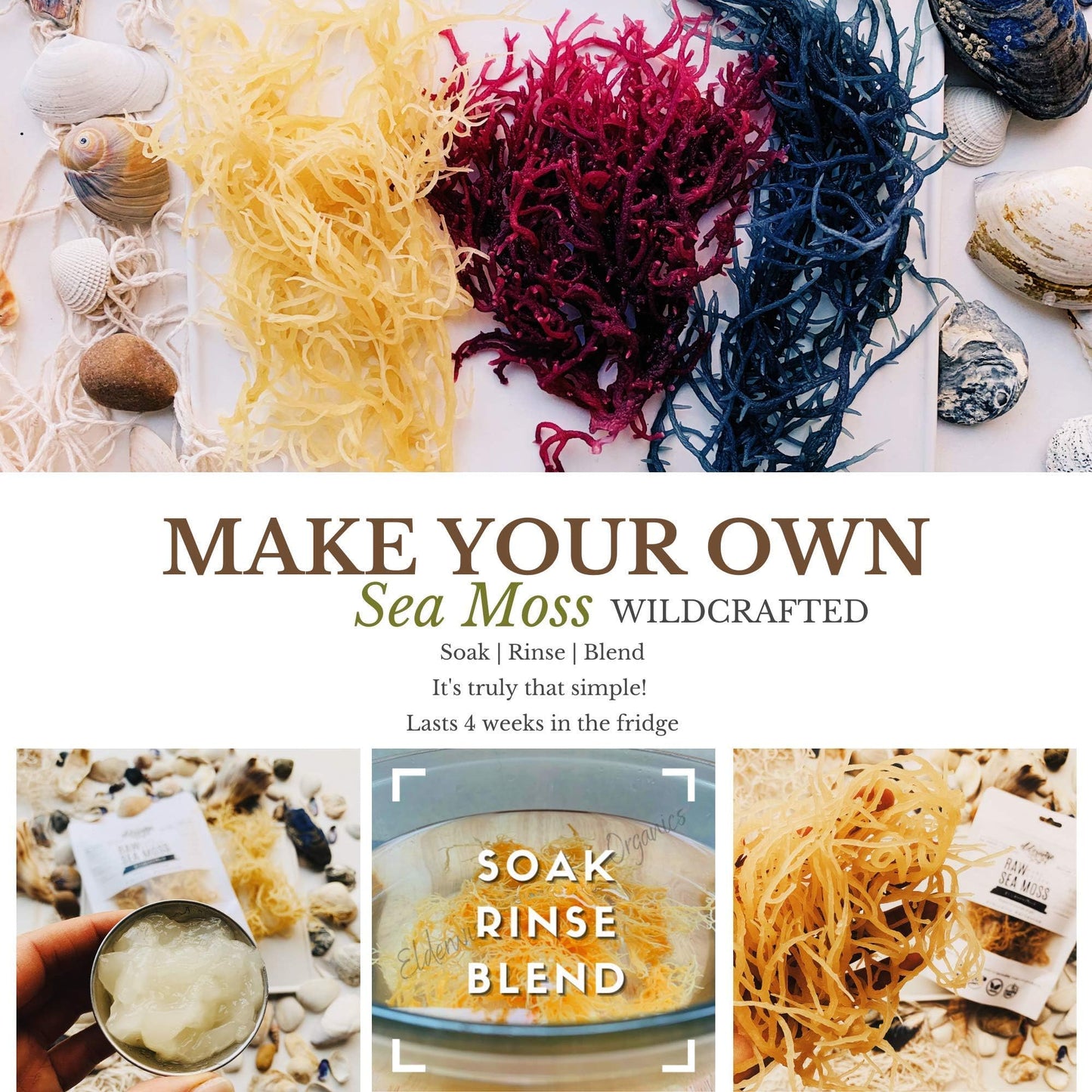 Sea Moss | Aqua Marine | Makes 24oz of Gel | Wildcrafted | Rare | Raw + Non GMO | Sundried | Green (Aqua Marine)