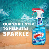 SC Johnson Windex Original Glass Cleaner Set: 5L refill +950 ml Trigger Spray