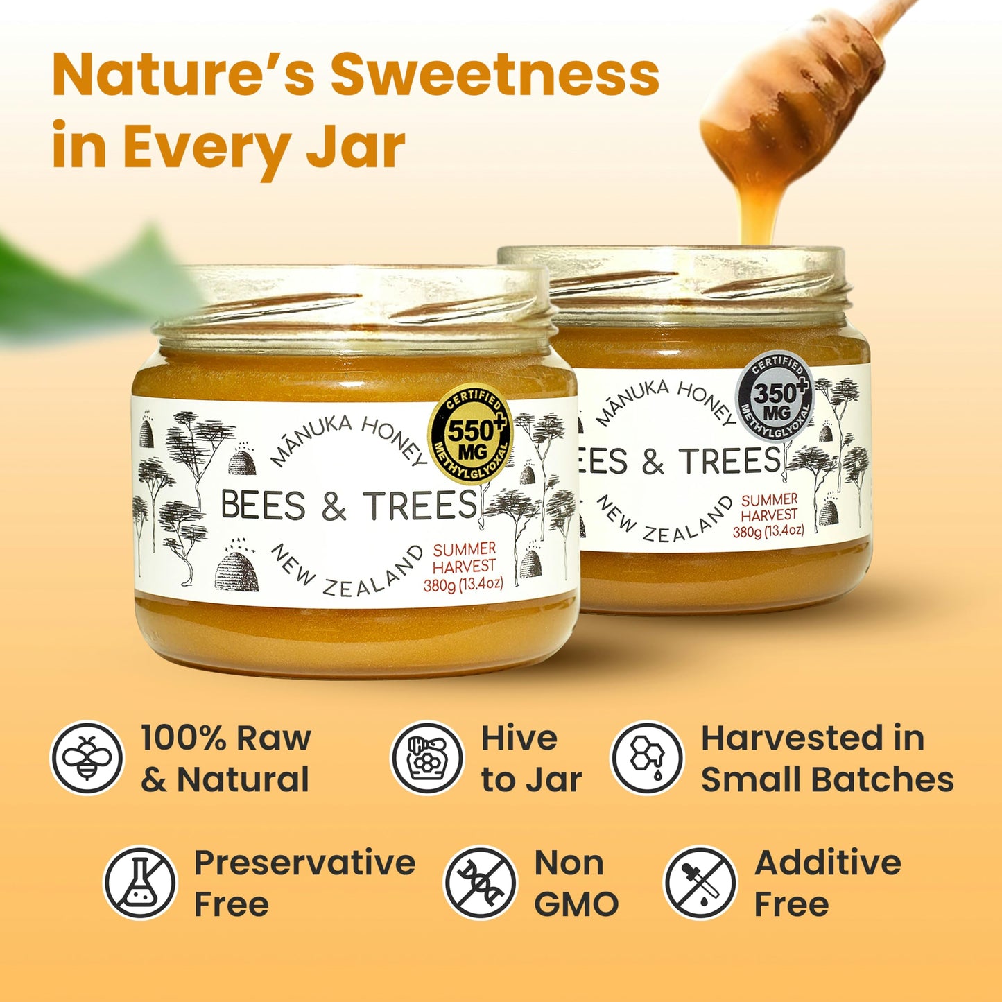 Bees & Trees New Zealand Manuka Honey - 830+ & 350+ MGO - Pure, Unpasteurized Monofloral Premium Superfood Raw Honey, Daily Wellness & Vitality