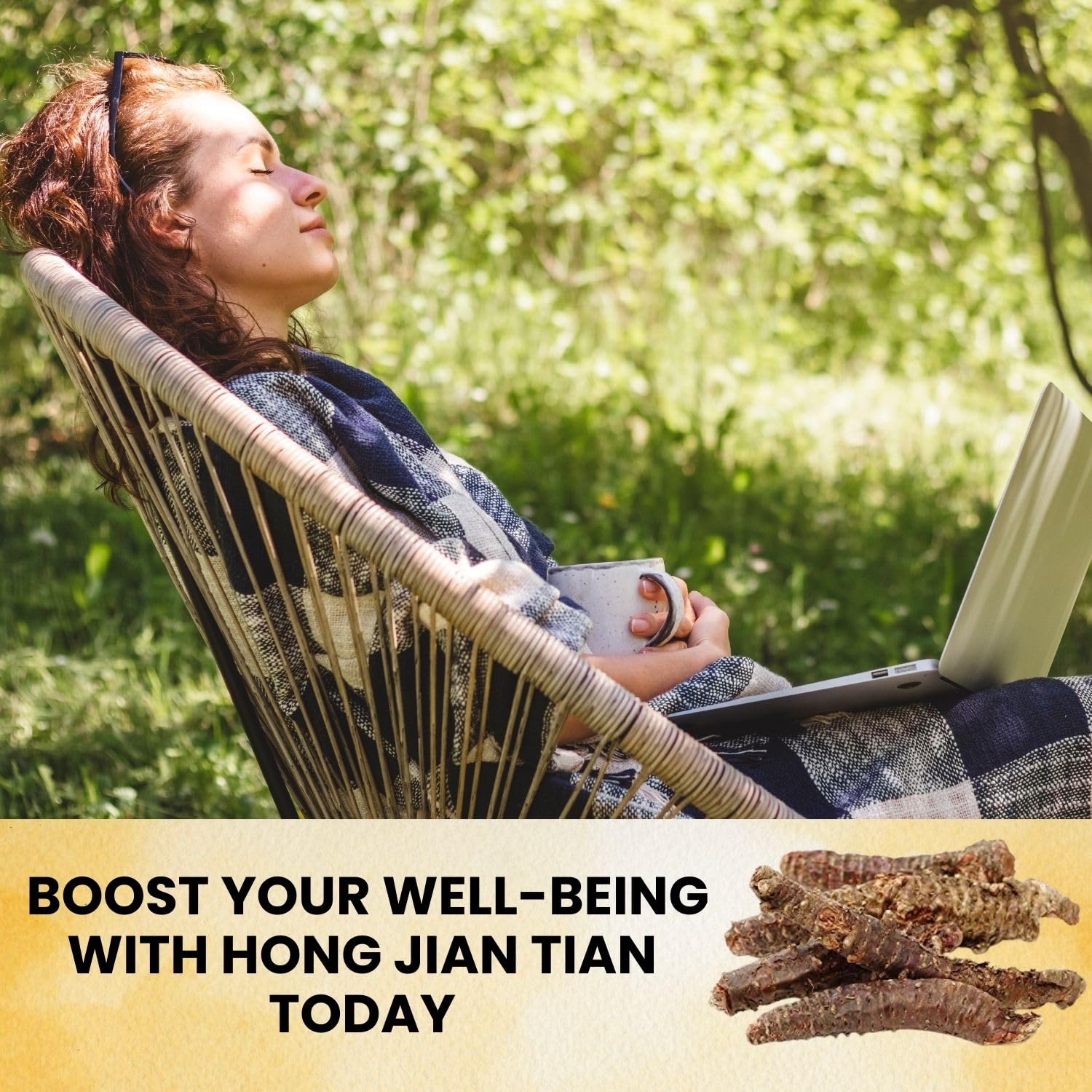 Golden Root | Hong Jing Tian | Rhodiola Rosea Herb (Whole Root) Herb Tea, 1 Pound - Plum Dragon Herbs