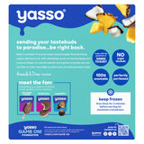 Yasso Pineapple Coconut Greek Yogurt Bars, 14 FZ