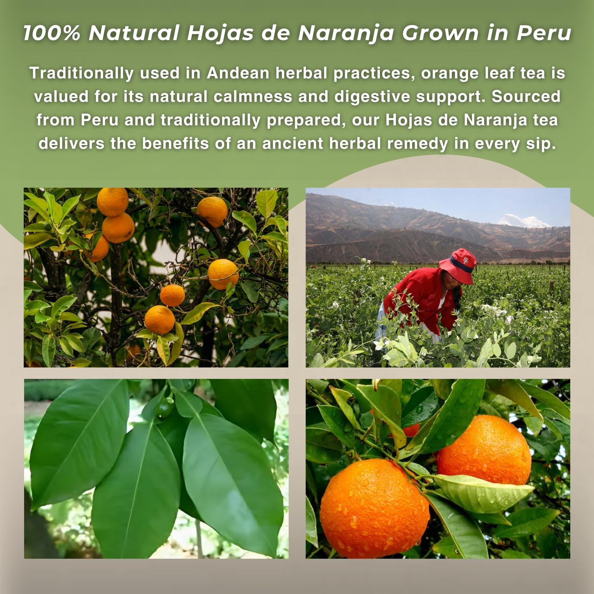 Hanan Te de Naranja 40g - Orange Loose Leaf Tea for Relaxation & Digestive Support, Natural Herbal Tea from Peru (1.4oz)