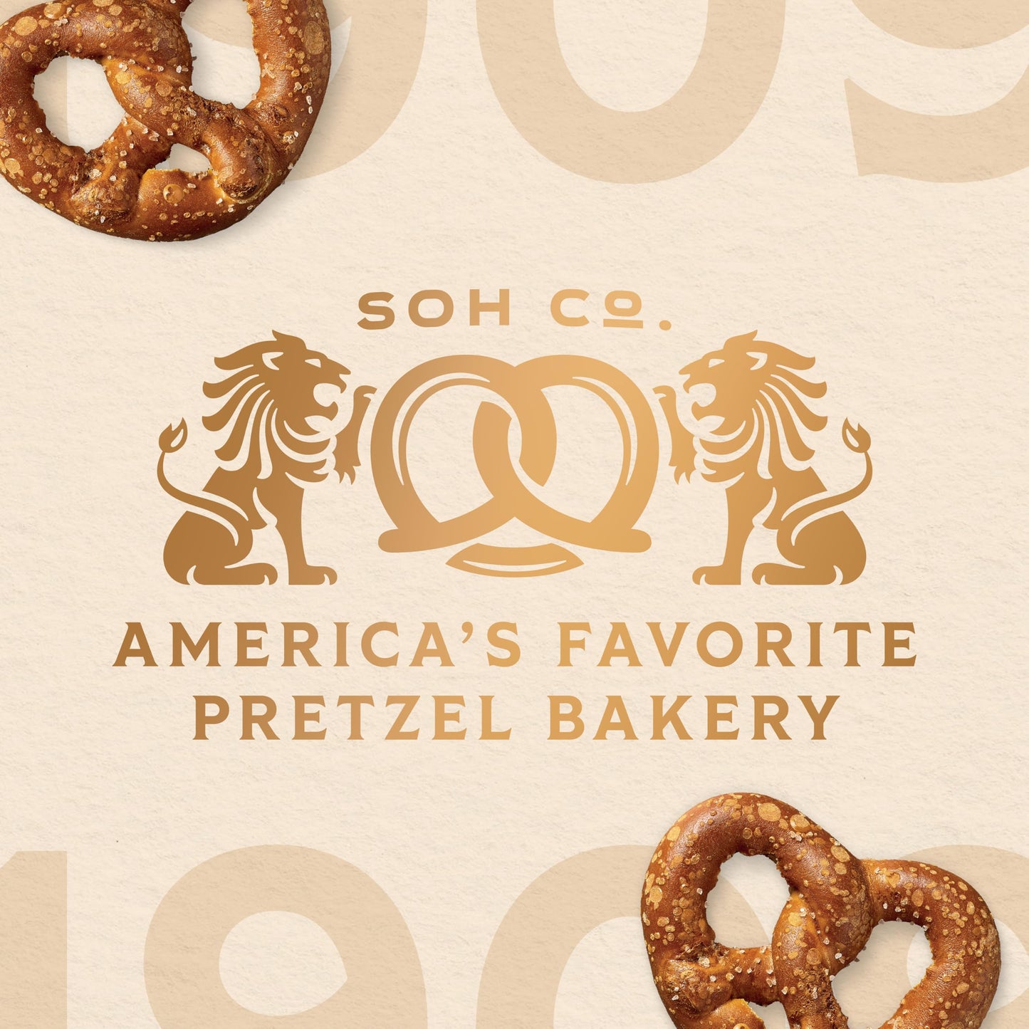 Snyder's of Hanover Sourdough Hard Pretzels, 16 Oz Bag