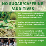 60 Handmade Soursop Bags, 100% Pure and Natural, No Sugar/Caffeine/Additives - Support Antioxidants and Relax Your Body and Mind