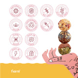 Fidmi Snack Protein Energy Balls Assorted Pack | Vegan - Gluten Free - Plant Based - Superfoods (Maca, Spiruline, Cacao) - All Natural Ingredients