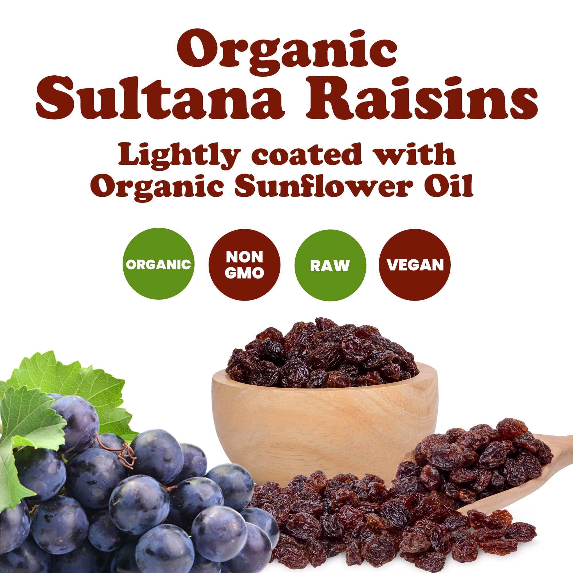 Food to Live Organic Sultana Raisins, 1.5 Pounds - Non-GMO, Unsweetened, Unsulfured, Lightly Coated with Organic Sunflower Oil, Vegan, Paleo Friendly