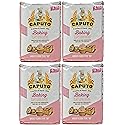 Antimo Caputo Baking (Pasticceria Pastry) 00 Flour 2.2 Pound Bag - For Desserts & Shortbreads - From Italy Type 00 Wheat (Pack of 4)