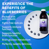 Dynamic Health Blueberry Concentrate, 100% Concentrate, Unsweetened, No Additives, Brain Function, Antioxidant Support, Vegan, Gluten Free, Non-GMO