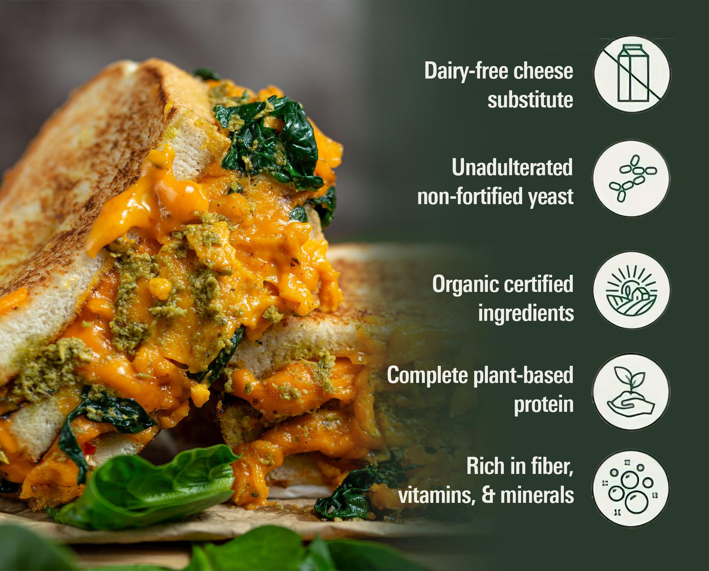 Gloriously Noochy Licious - Premium Vegan Cheese Alternative | Nutritional Yeast Flakes | Non-GMO, Gluten-Free, Dairy-Free, Low-Calorie | Ideal