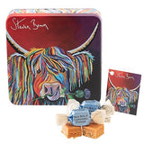 Gardiners of Scotland Handmade Fudge, Steven Brown - Lizzie McCoo Salted Caramel Fudge 7 Ounce Square Tin