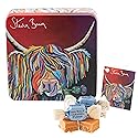 Gardiners of Scotland Handmade Fudge, Steven Brown - Lizzie McCoo Salted Caramel Fudge 7 Ounce Square Tin