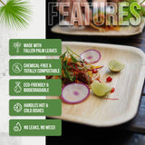 AriaTraders Palm Leaf Plates 10 Inch (50-Pack), Square Bamboo Plates Disposable, Heavy Duty Compostable & Biodegradable Wooden Plates for Party