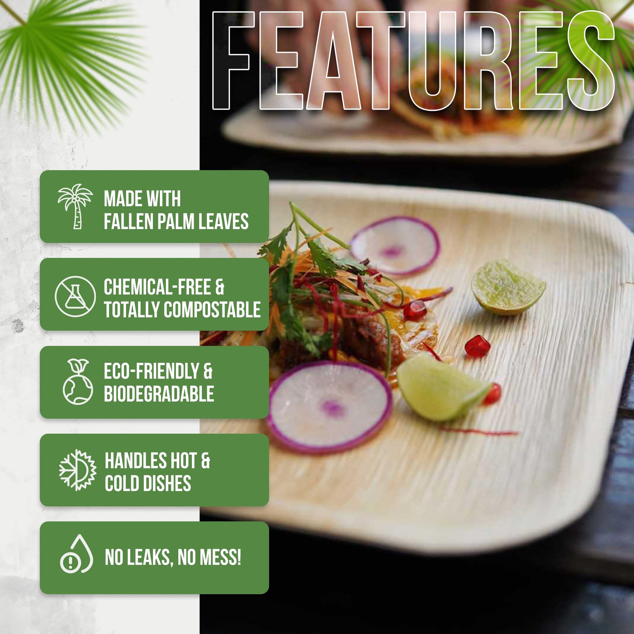 AriaTraders Palm Leaf Plates 10 Inch (50-Pack), Square Bamboo Plates Disposable, Heavy Duty Compostable & Biodegradable Wooden Plates for Party