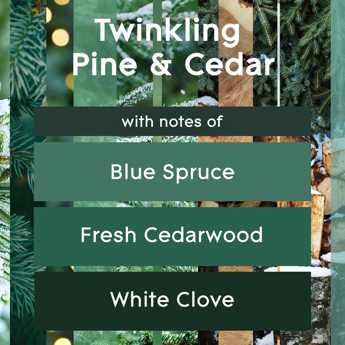 Glade Automatic Spray Refill and Holder Kit, Air Freshener for Home and Bathroom, Twinkling Pine & Cedar, 6.2 Oz