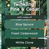Glade PlugIns Refills Air Freshener Starter Kit, Scented and Essential Oils for Home and Bathroom, Twinkling Pine & Cedar, 0.67 Fl Oz, 1 Warmer + 1