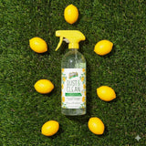Endust Plant-based Multi-surface Dusting & Cleaning Spray, 24 Fl Oz (Pack of 2)