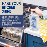 Aunt Fannie's Stainless Steel Spray Cleaner, Powered by Vinegar, Fingerprint and Residue Remover for Refrigerator, Dishwasher, Oven, Grill, Sink