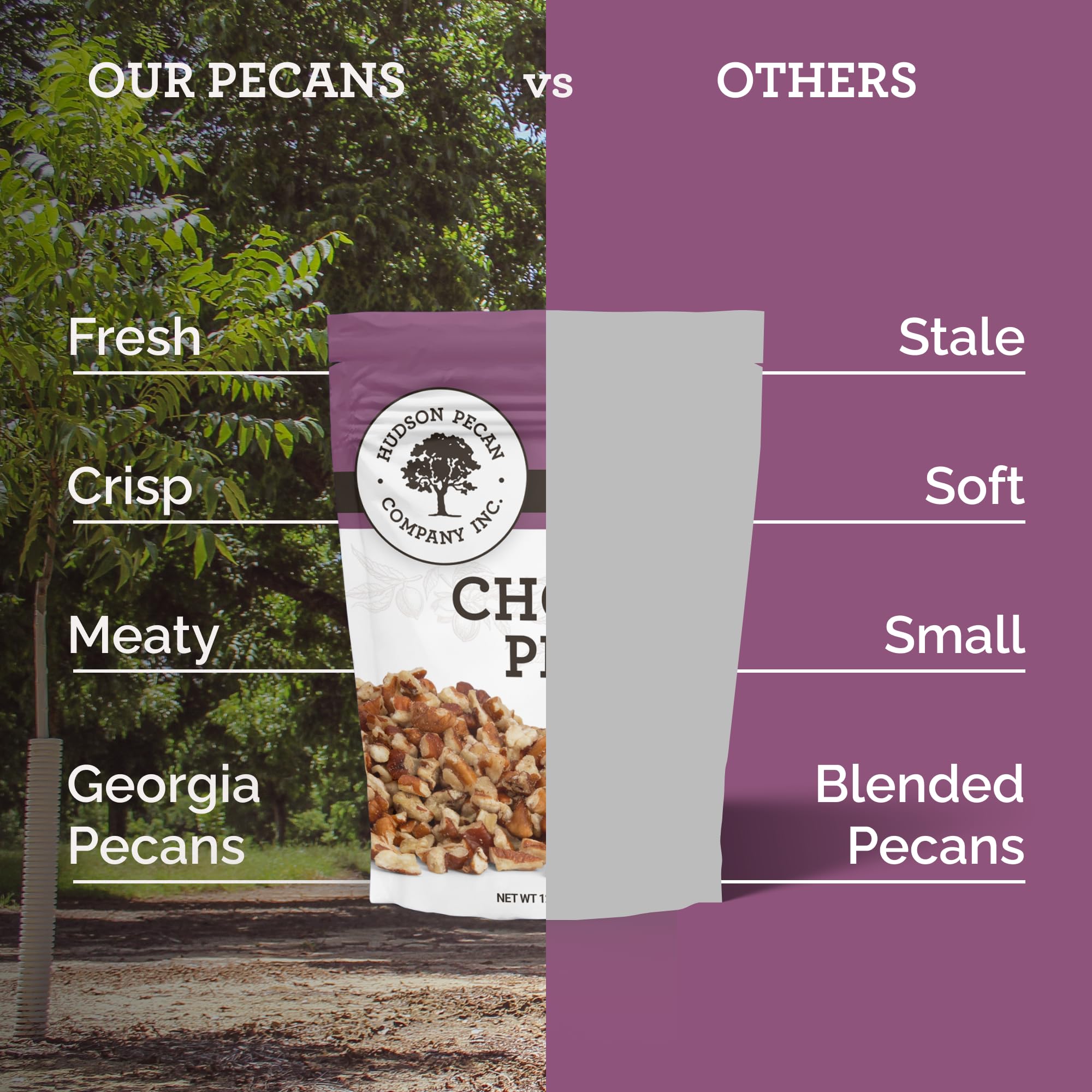 HUDSON PECAN COMPANY | Fresh Chopped Georgia Pecans | Local, All-Natural & Kosher, Heart-Healthy | Crunchy Nuts Perfect for Baking, Cooking, Salads