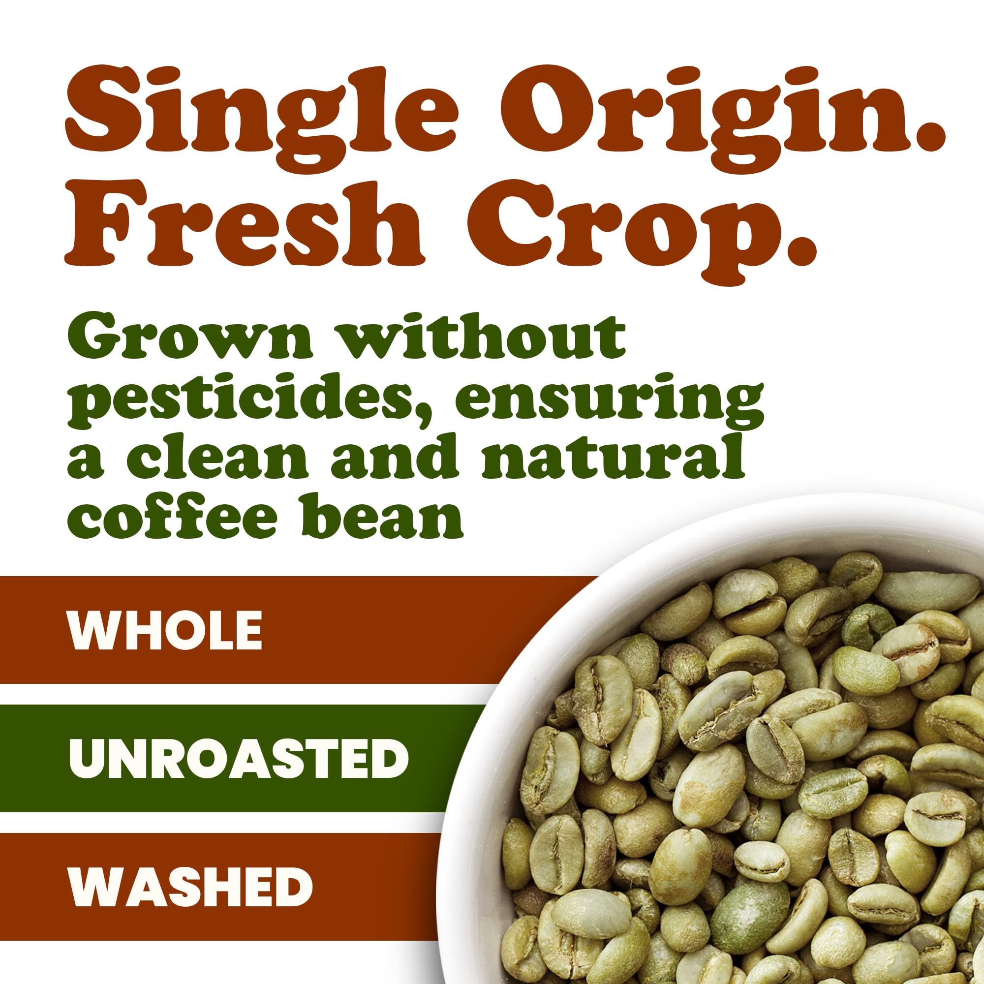 Food to Live Organic Colombian Huila Arabica Green Coffee Beans, 12 Ounces - Whole, Unroasted, Washed Bean. Single Origin. Fresh Crop. No-GMO, Vegan