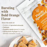 Purely Sprouted Orange Ginger Sprouted Snack Mix with Almond, Cashew Nuts & Pumpkin Seeds - Grain and Gluten Free, Non-GMO, Vegan - Ideal