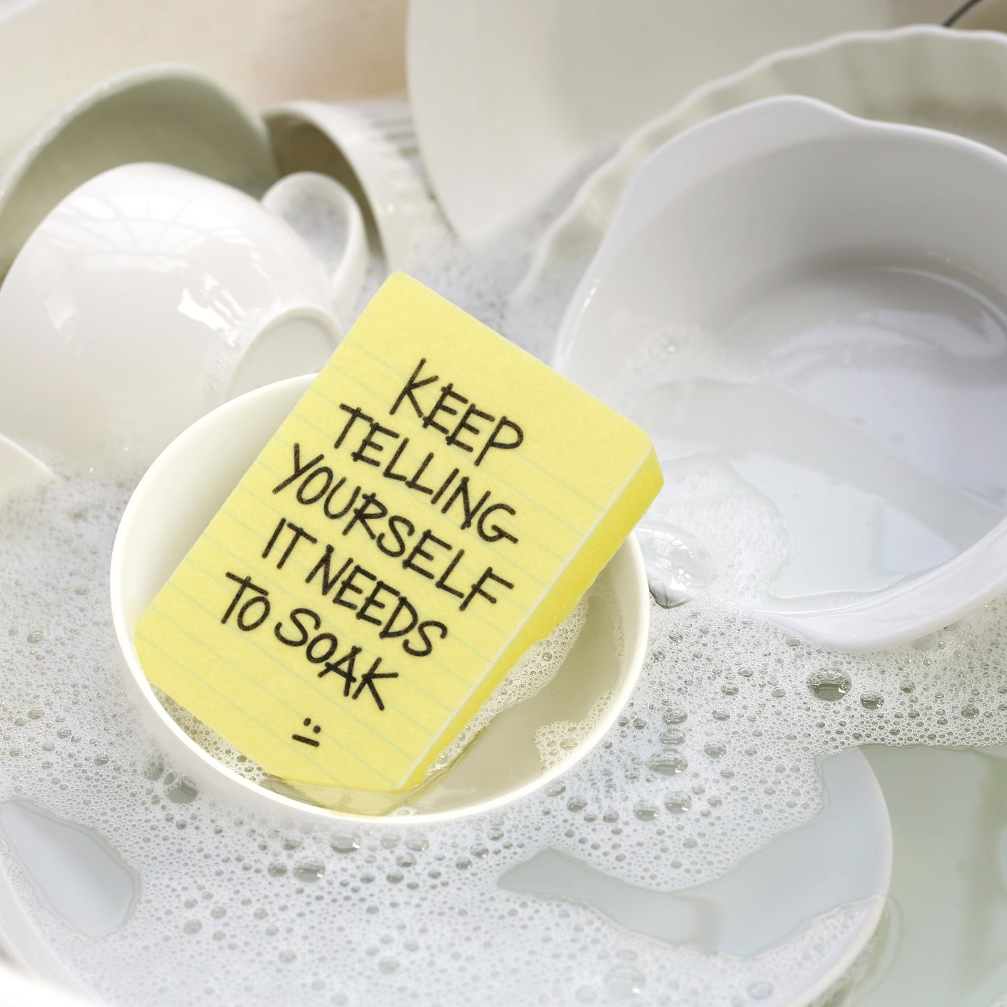 Genuine Fred Clean Conscience Kitchen Sponges - Set of 2 Passive-Aggressive Dish Sponges with Funny Notes - Multi-Layer Scrubbers for Dishes and Mess