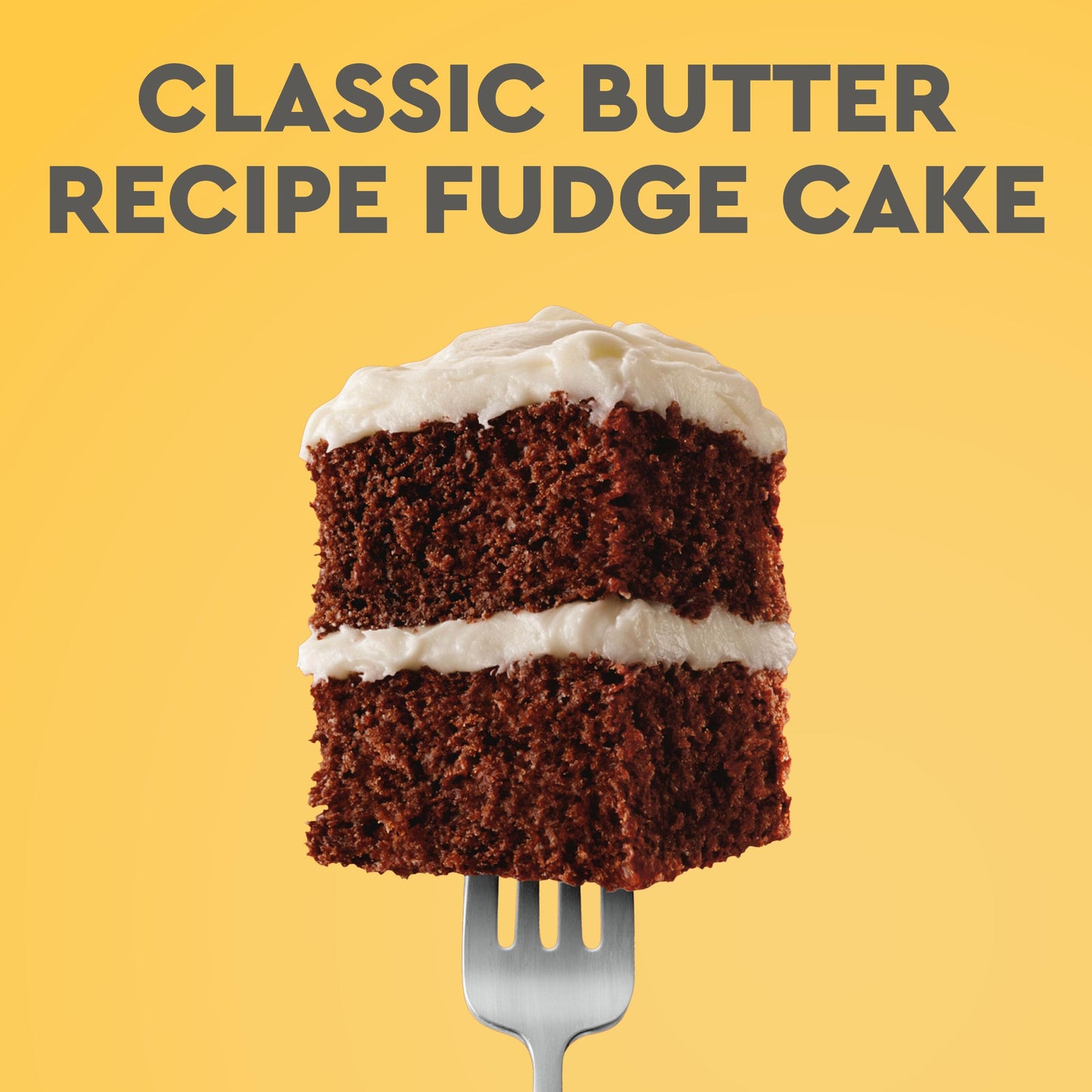Duncan Hines Perfectly Moist Butter Recipe Fudge Cake Mix, 15.25 oz.