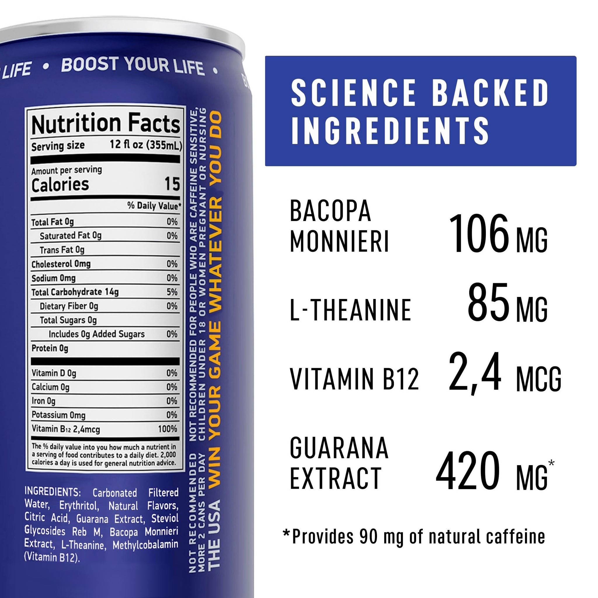 NEORON Focus + Calm | Nootropic Drink for Mental Clarity - Stress & Burnout Support (12-Pack, Blueberry & Mint, Sugar-Free)