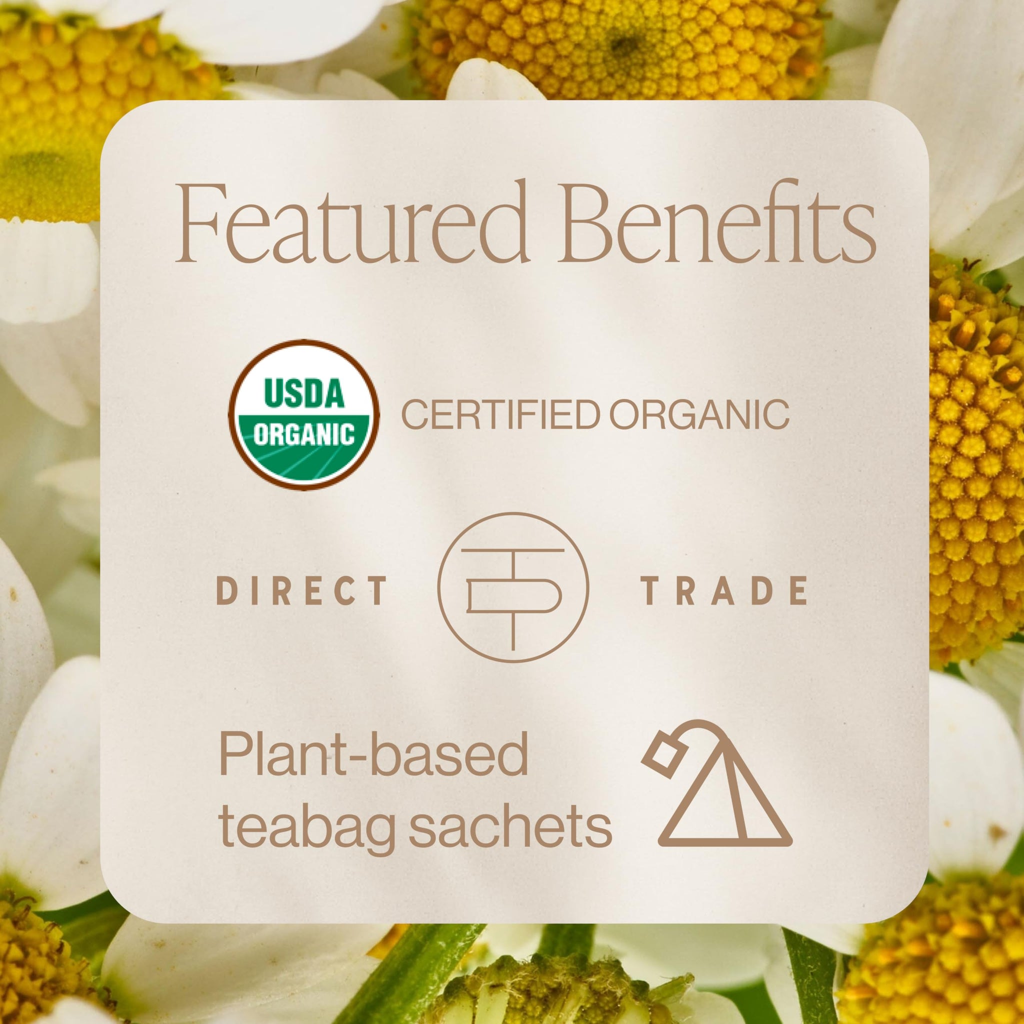Rishi Organic Garden Party Tea, 15 CT