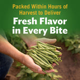Del Monte Harvest Selects Blue Lake Whole Green Beans, 14.5 oz. Can, Canned Vegetables
