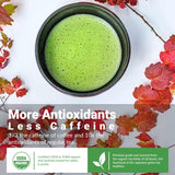 Matcha Moon Spring Zen Superior Ceremonial Grade Matcha Green Tea Powder | Traditional Organic Japanese Matcha Powder from Uji Kyoto | Ideal for Daily
