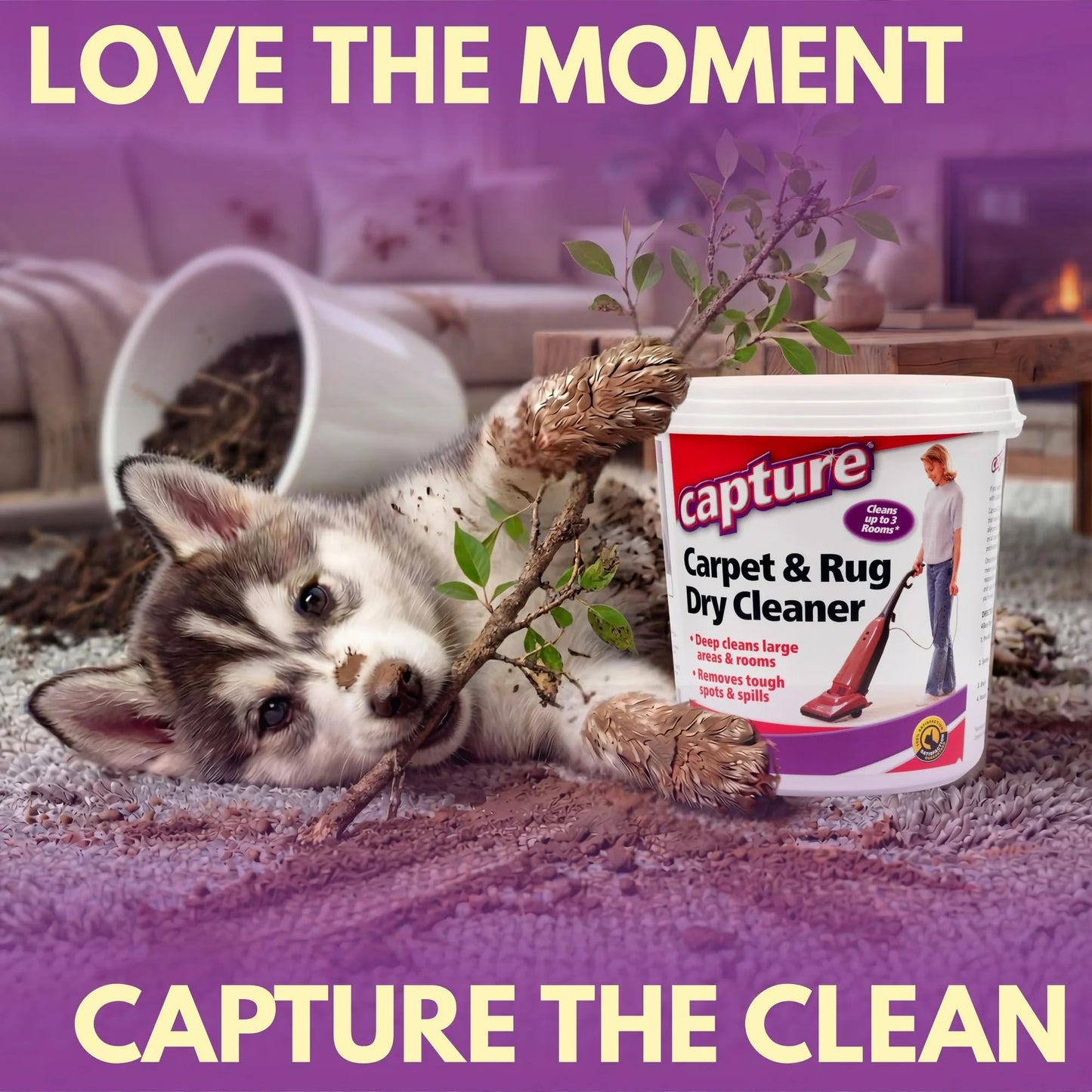 Capture Carpet & Rug Dry Cleaner: Carpet Deodorizer & Freshener Powder - Pet Odor Eliminator - Spot & Stain Remover - Fresh Natural Scent - Carpet
