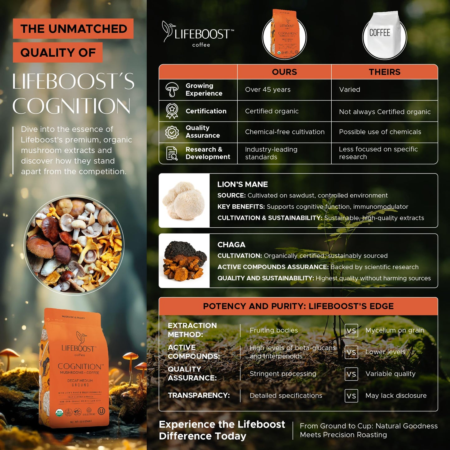 Lifeboost Cognition Decaf Focus Coffee for Calm Energy - Lion’s Mane Mushroom Coffee with Chaga - Organic Medium Roast Decaf Nootropic Coffee - Low