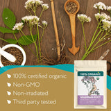 Valerian Root Tea Organic (40 Tea Bags) - Valeriana Herb - Calming Herbal Infusion for Sleep, Healthy Stress Response - Te para Dormir de Noche