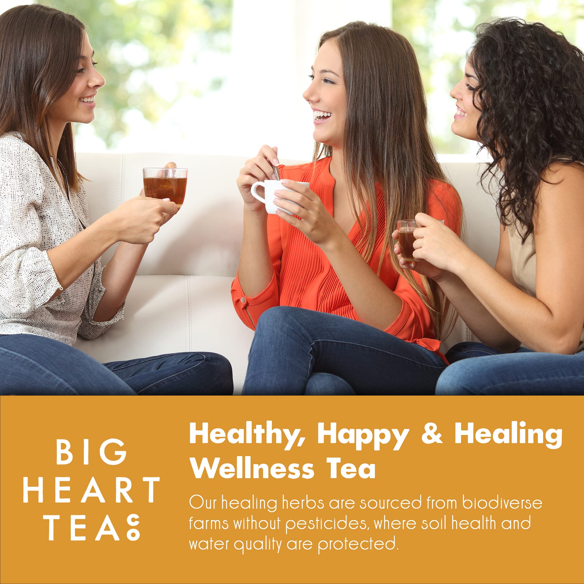 Big Heart Tea Co. Spicy Tea Bags Gift Set - Certified Organic, Ayurvedic Herbal Tea - Small Batch Ground Herbs, Spices in Zero Plastic Sachets