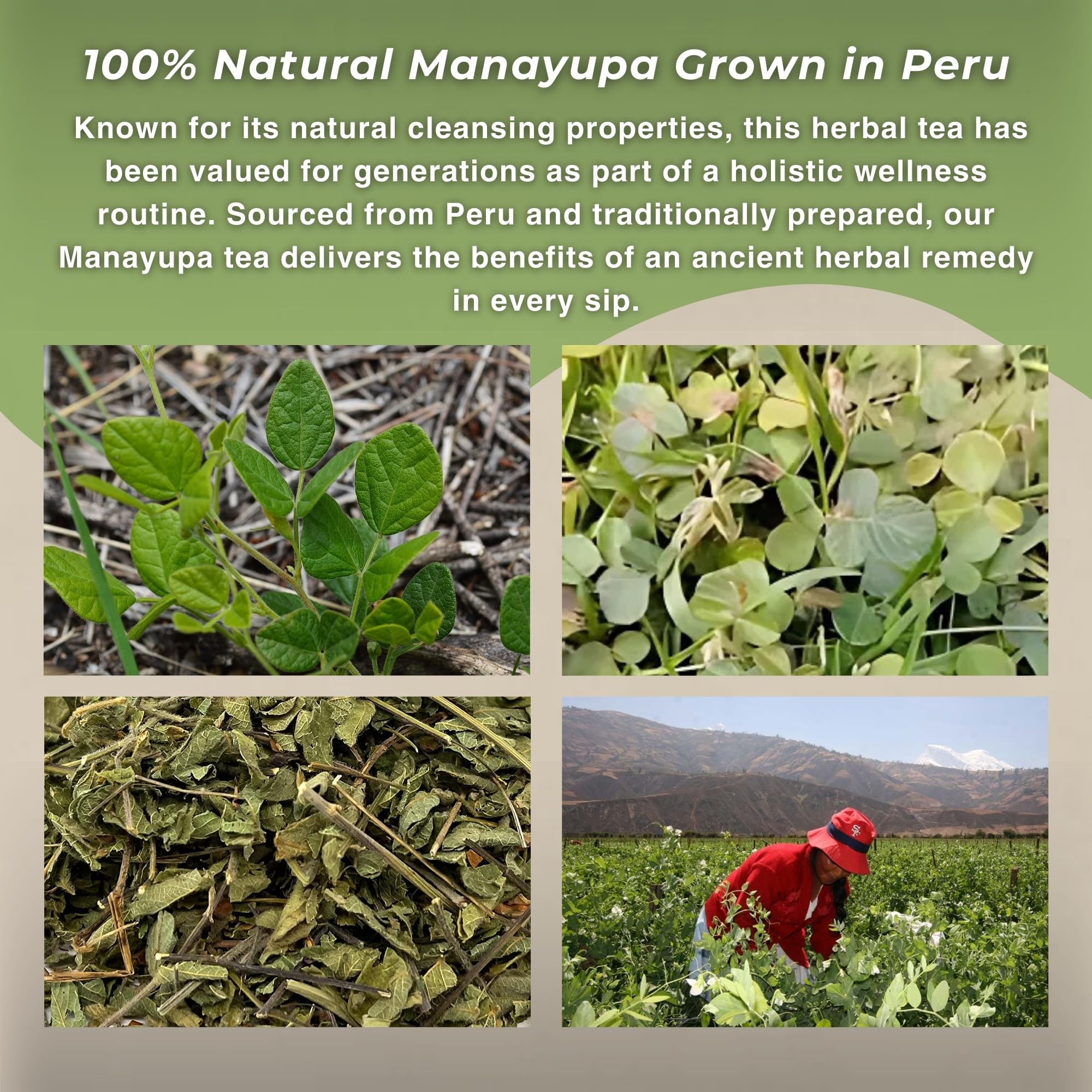 Hanan Peruvian Secrets Manayupa - Liver Cleanse Detox & Repair - 100% Natural Desmodium Molliculum 1.41oz - 40g (Single Pack)