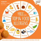 Homefree Mini Ginger Snap Cookies, Gluten Free, Nut Free, Vegan, School Safe and Allergy Friendly Snack, 5 oz. (Pack of 1)
