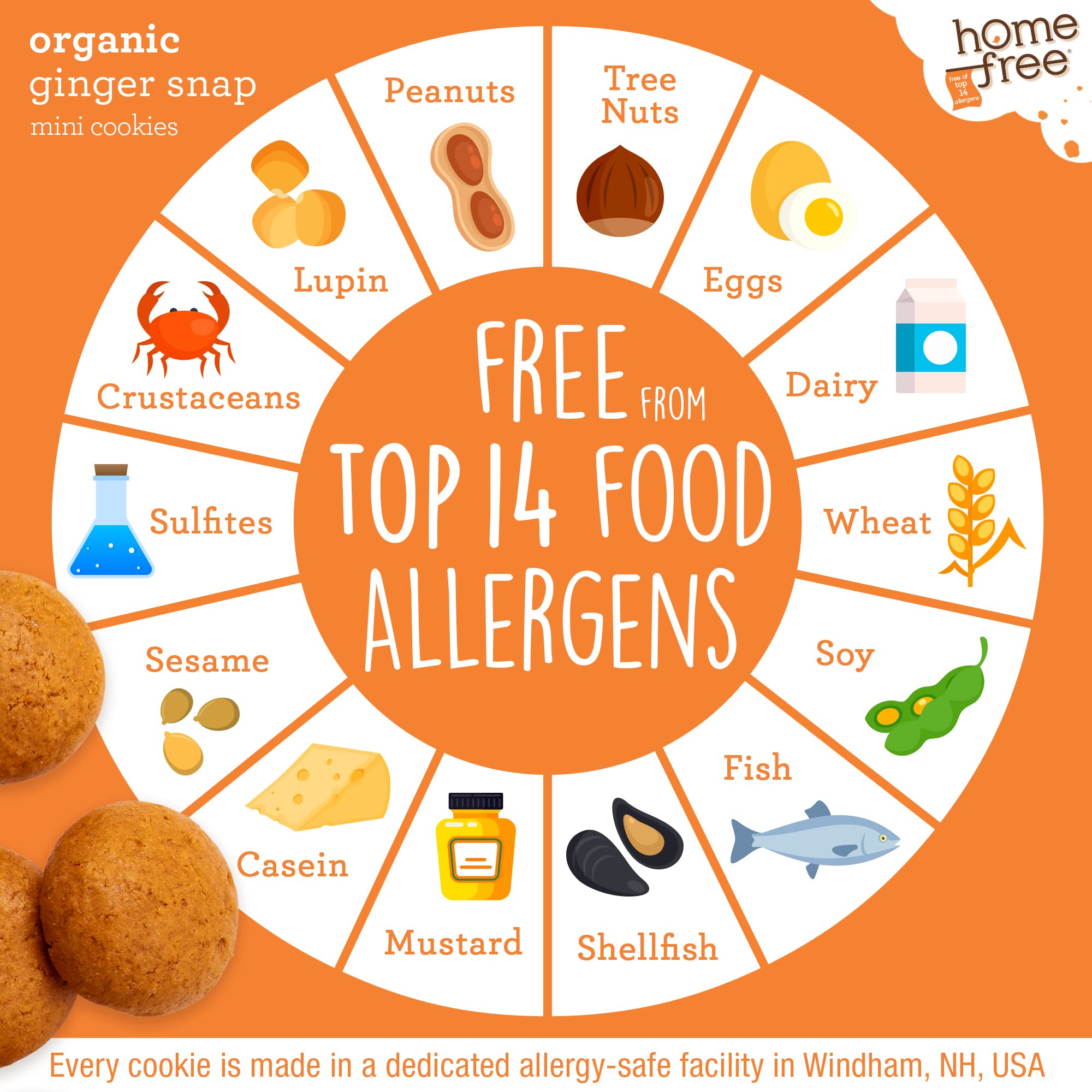 Homefree Mini Ginger Snap Cookies, Gluten Free, Nut Free, Vegan, School Safe and Allergy Friendly Snack, 5 oz. (Pack of 1)
