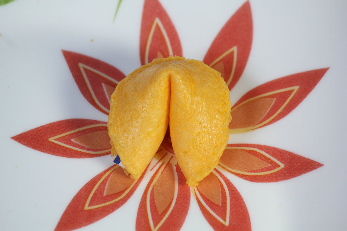 Fortune Cookies Fresh Single Wrap 400 Pcs (1 Box)At D&J Asian Market