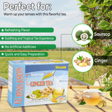Soursop Ginger Tea - Refreshing Herbal Blend with Cinnamon & Lemon - Loose Leaf or Tea Bags 20 sachets Instant Tea