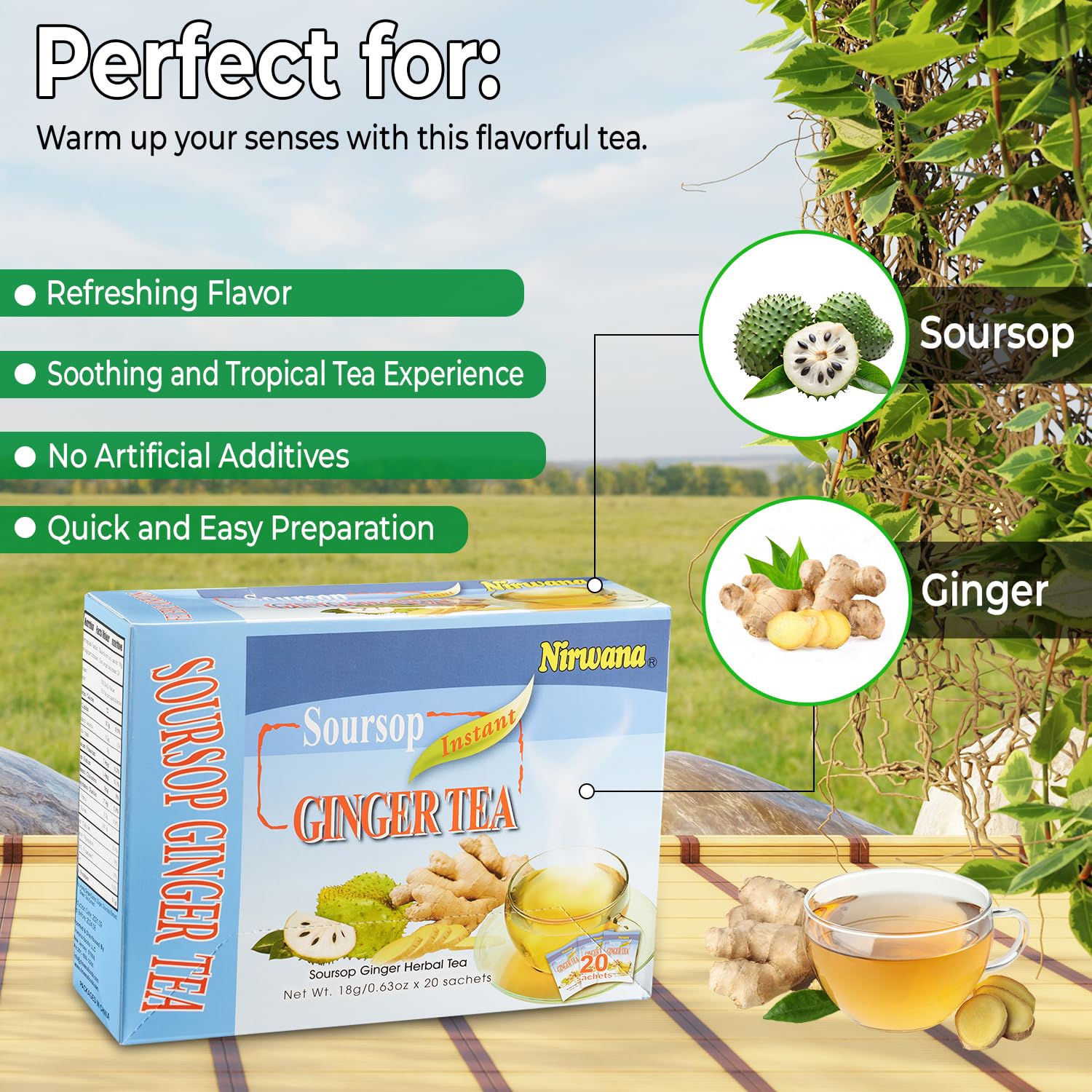 Soursop Ginger Tea - Refreshing Herbal Blend with Cinnamon & Lemon - Loose Leaf or Tea Bags 20 sachets Instant Tea