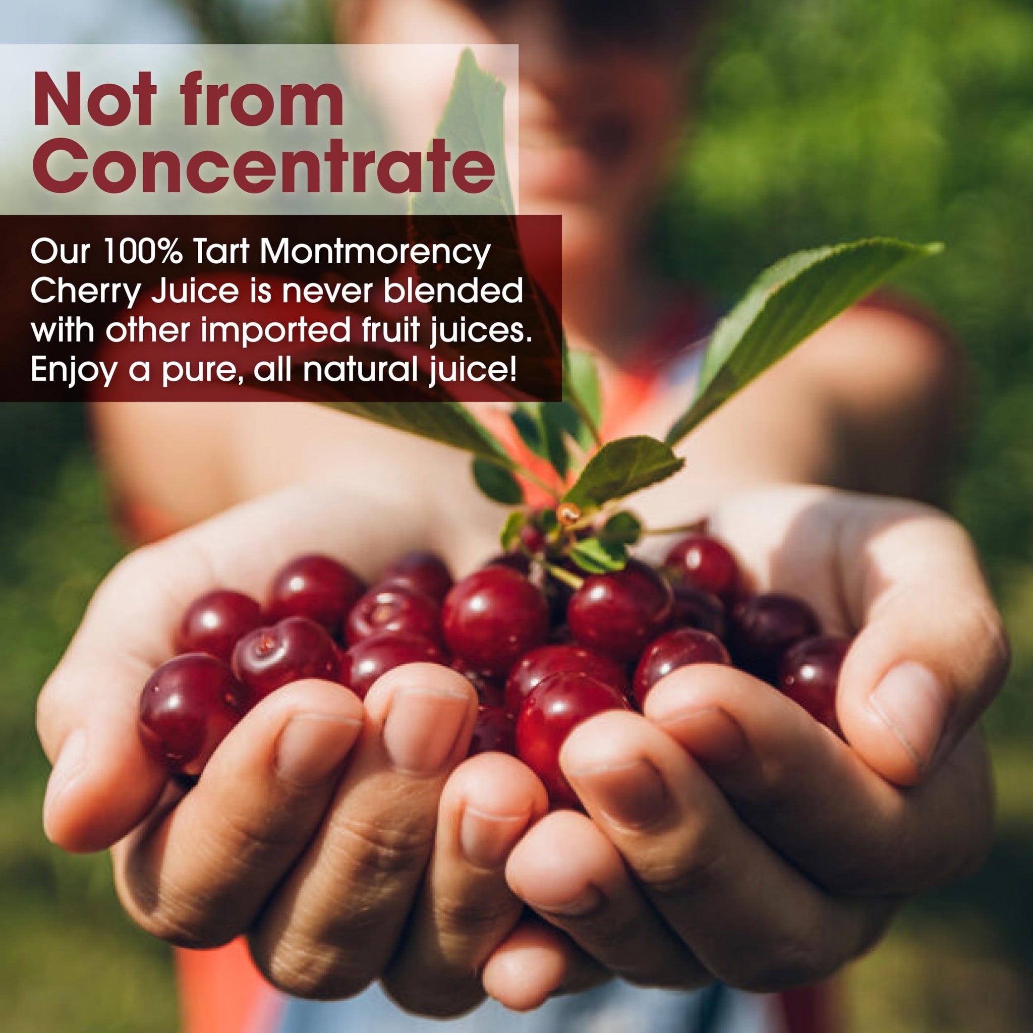 Cherry Bay Orchards Tart Cherry Juice, 32 oz Bottle - Cherry Juice Promotes Health and Wellbeing - Not from Concentrate - All natural ingredients