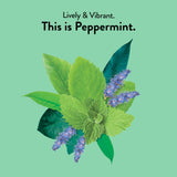 Choice Organic Teas Peppermint Tea - Compostable - Caffeine Free - 48 Organic Herbal Tea Bags (Pack of 3)