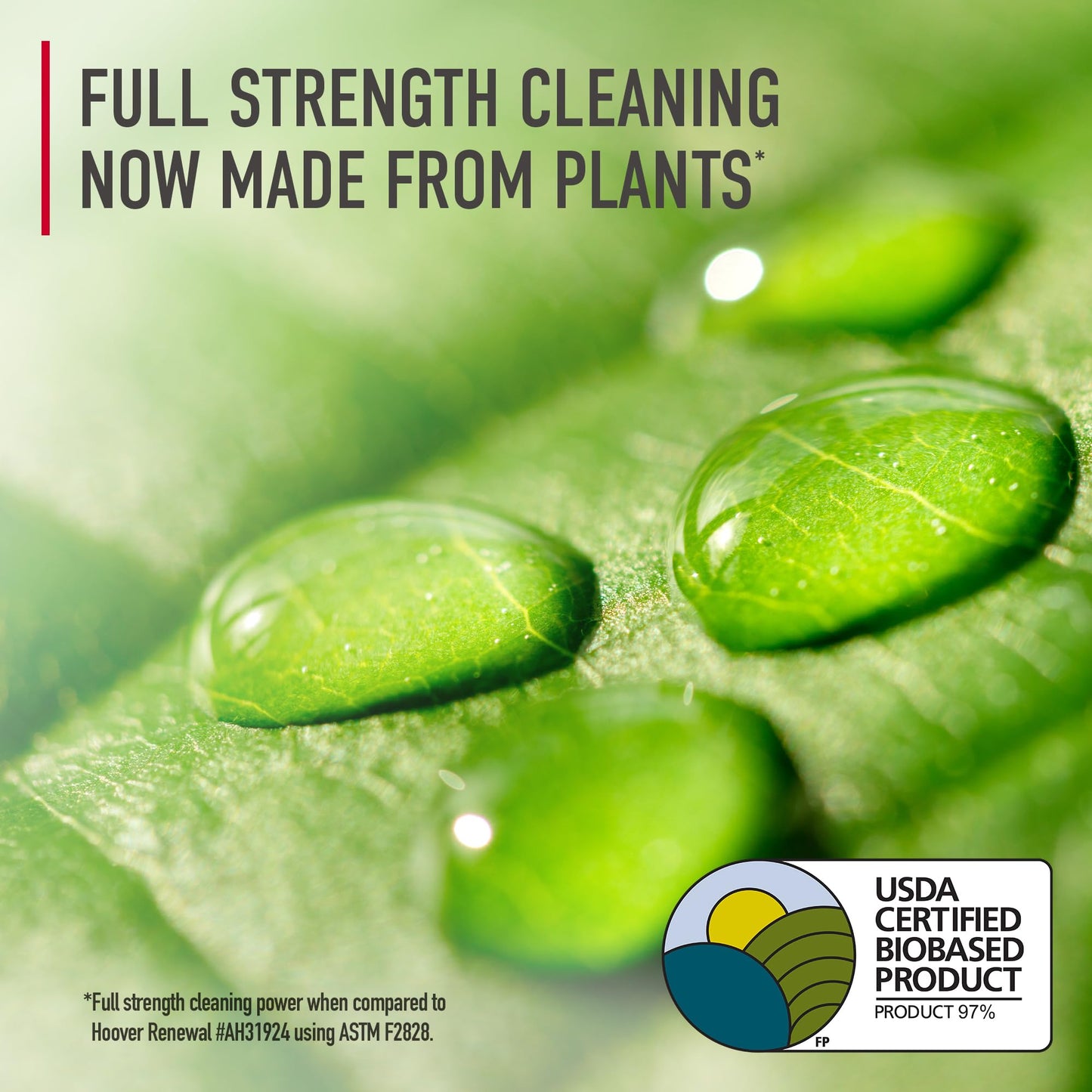 Hoover Pure Essentials Carpet Cleaner Solution, 50 oz., Fresh Rain Scent, Natural Plant Based Formula, Deep Cleaning Carpet Shampoo Solution, Pair