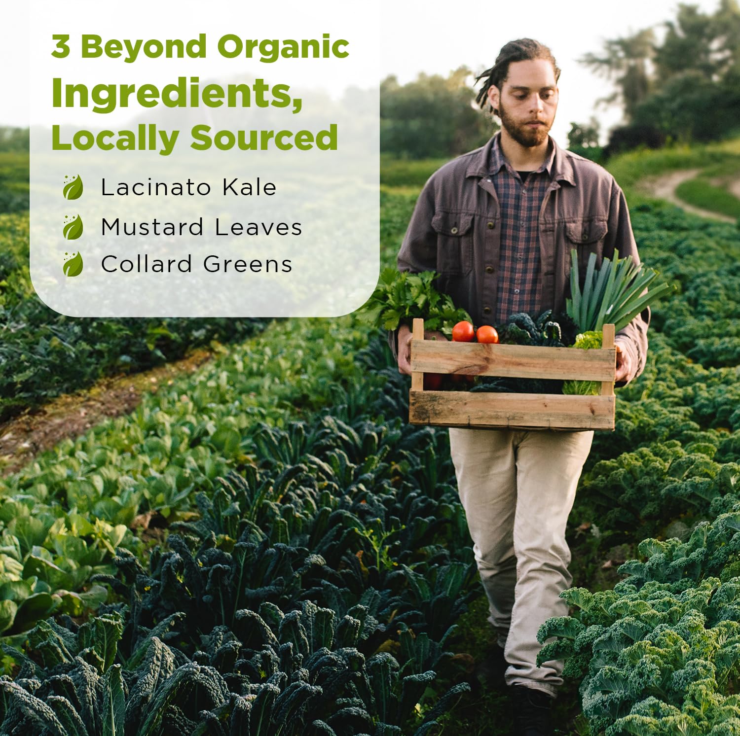 Dr. Cowan's Garden Low-Oxalate Greens Veggie Powder - Beyond Organic Superfood Greens Vegetable Powder for Drinks and Food - Lacinato Kale, Mustard